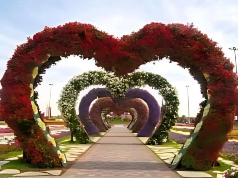 Dubai-Miracle-Garden-Wondara