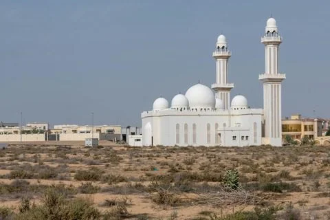 pexels-kirandeepsingh-11014817 (1)