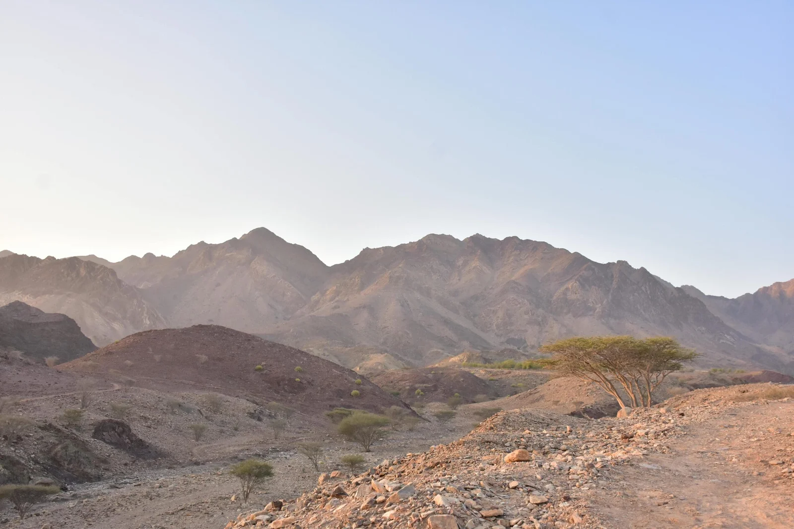 pexels-yokokz-cordova-5304980-11674126-scaled